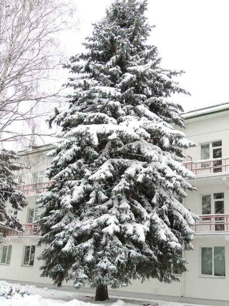 зима в Солигорске