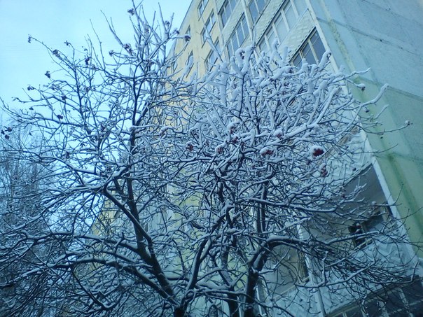 зима в Солигорске
