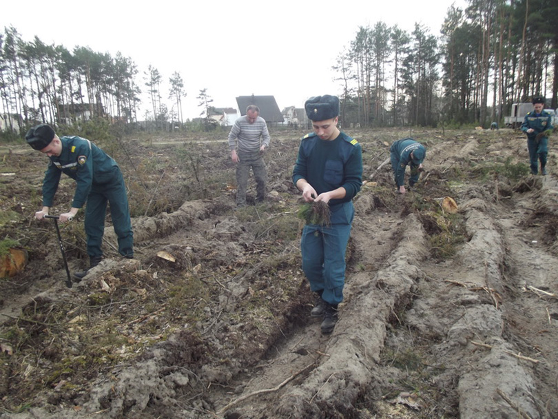 акция неделя леса Солигорск