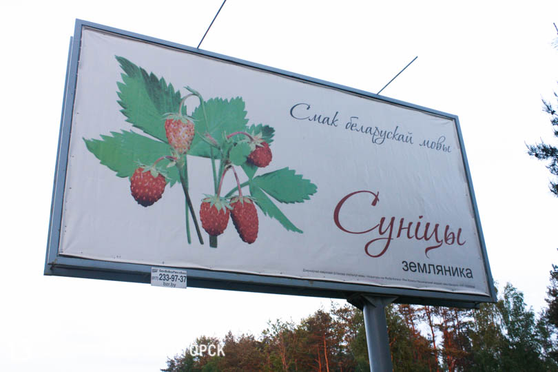 плакат суницы в Солигорске