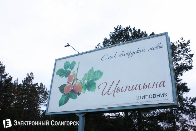 плакат смак мовы в Солигорске