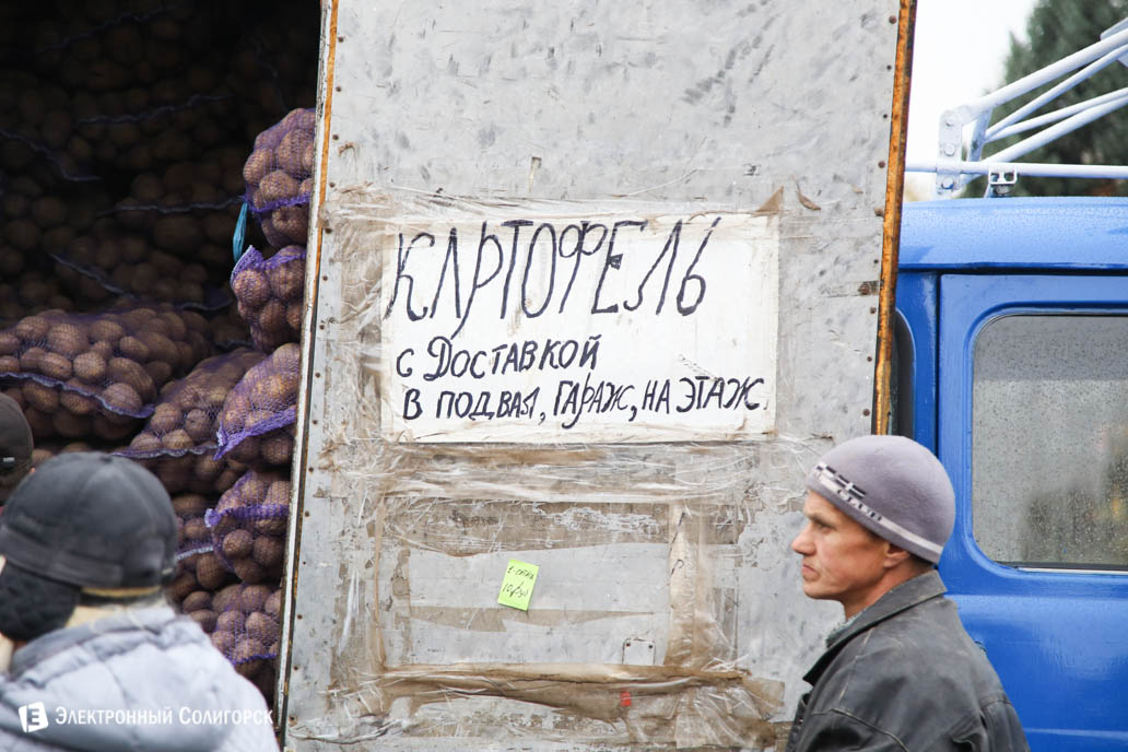 продажа картофеля Солигорск