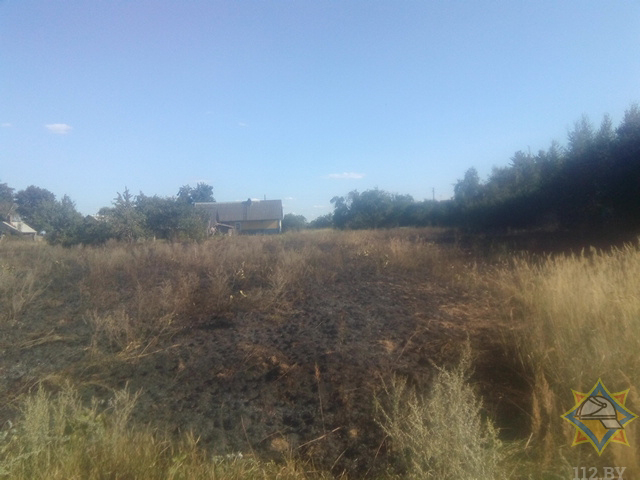 пожар солигорск трава