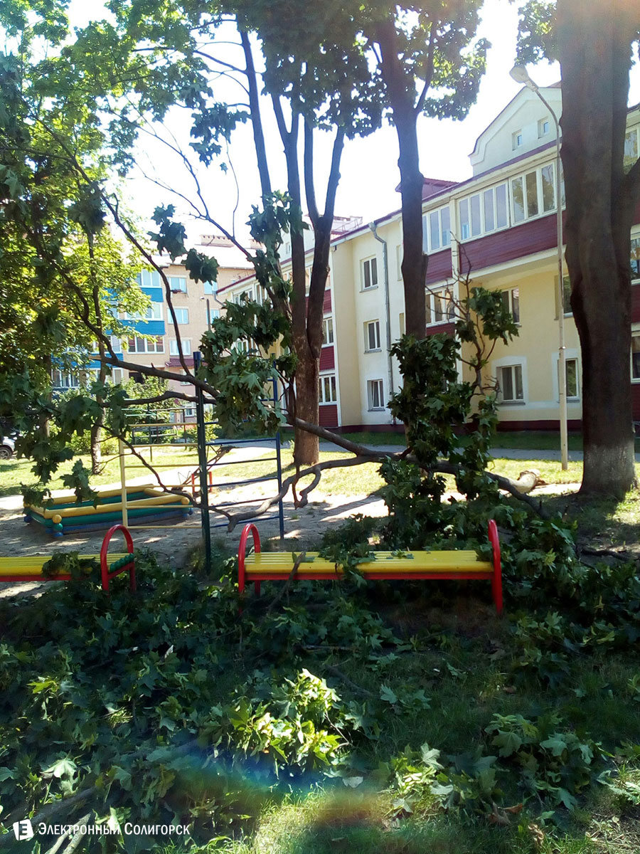 упало дерево Солигорск