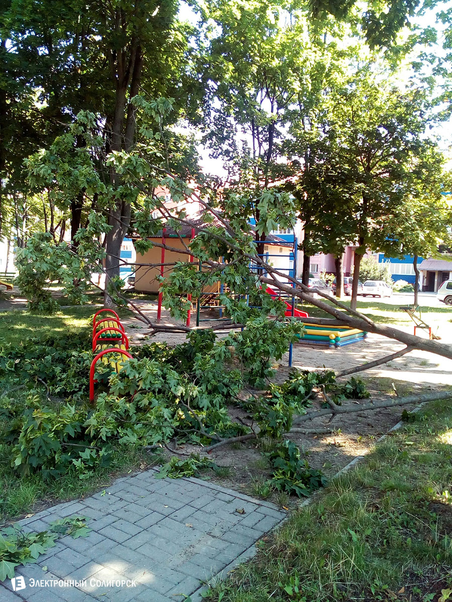 упало дерево детская площадка Солигорск
