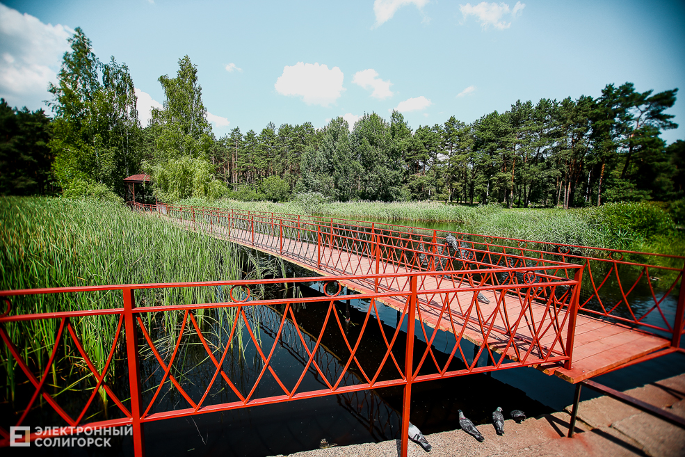мост лягушатник солигорск пруд