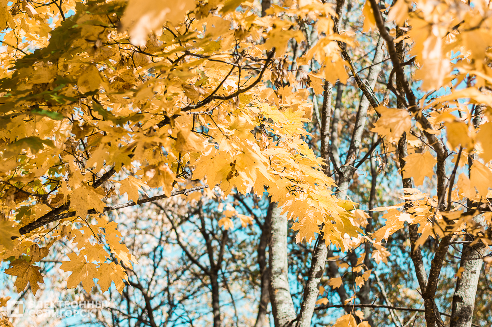 Осень в Солигорске