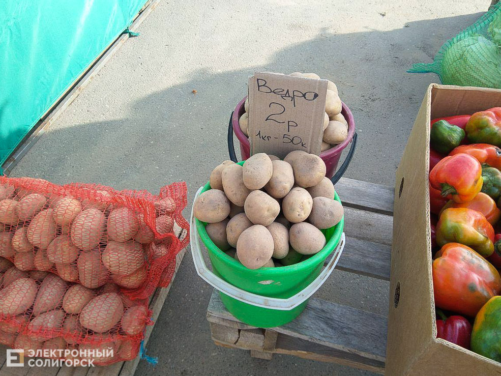 Солигорск рынок овощи