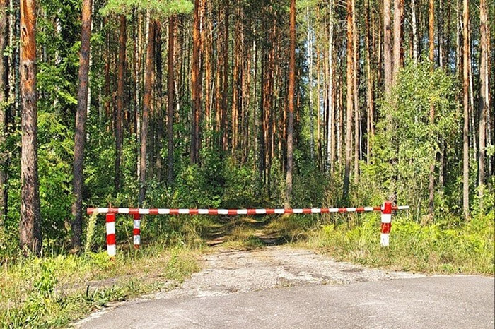 В Солигорском районе вновь вводится ограничение на посещение лесов