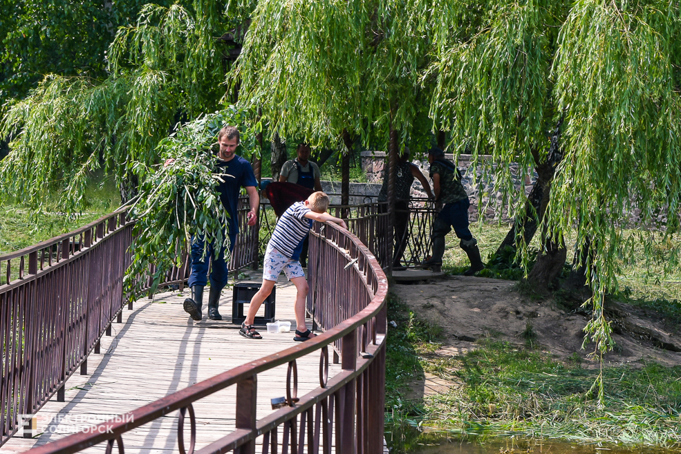 Благоустройство пруда на улице Лесной в Солигорске