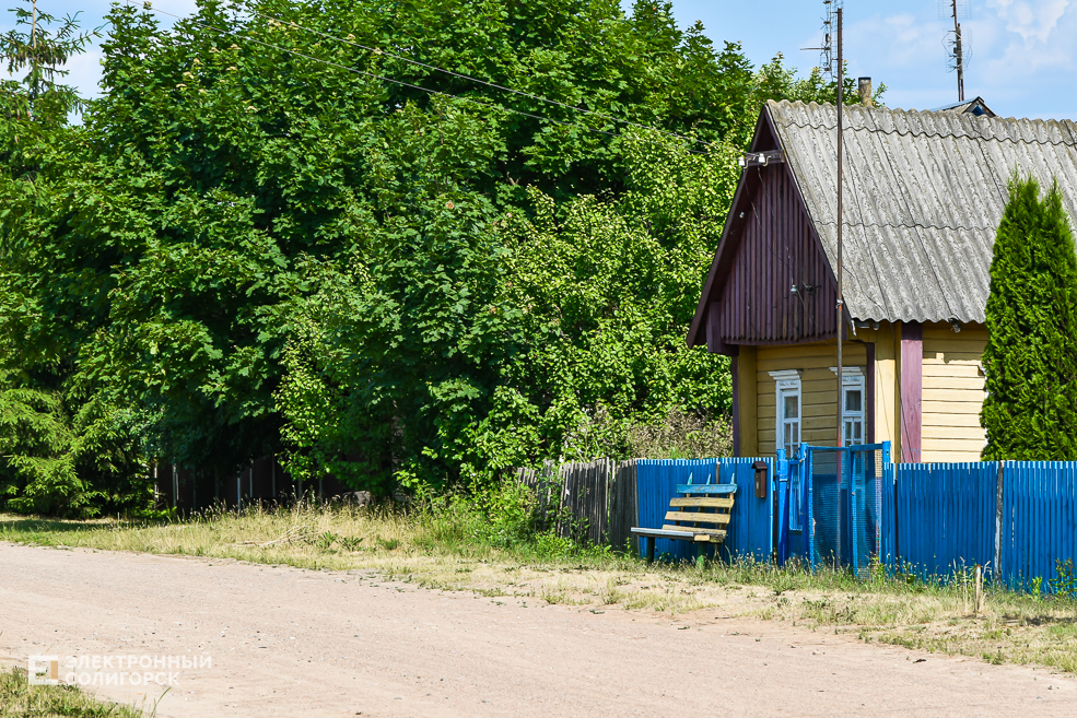 Деревня Гуляево Слуцкий район