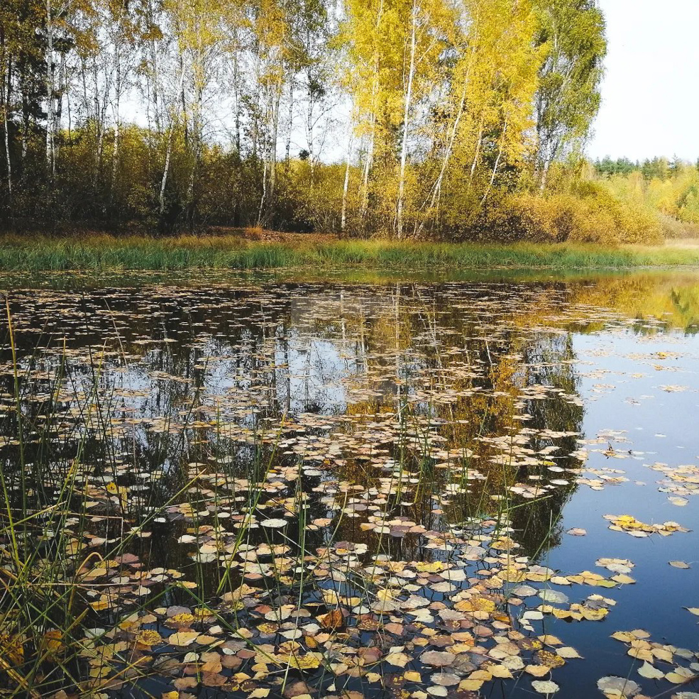 Озеро Хвойня Солигорский район