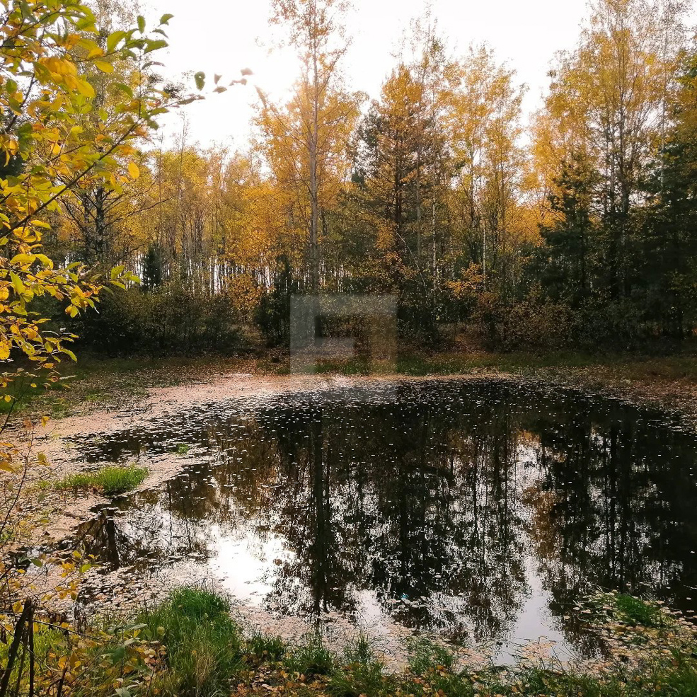 Озеро Хвойня Солигорский район