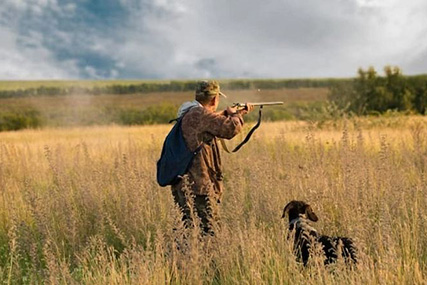 Правила безопасности при ружейной охоте: о чём порой забывают охотники?