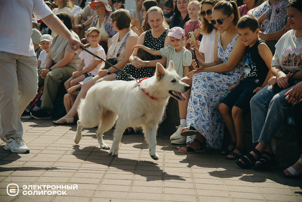 атмосфера день города 2024