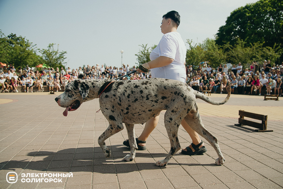 атмосфера день города 2024