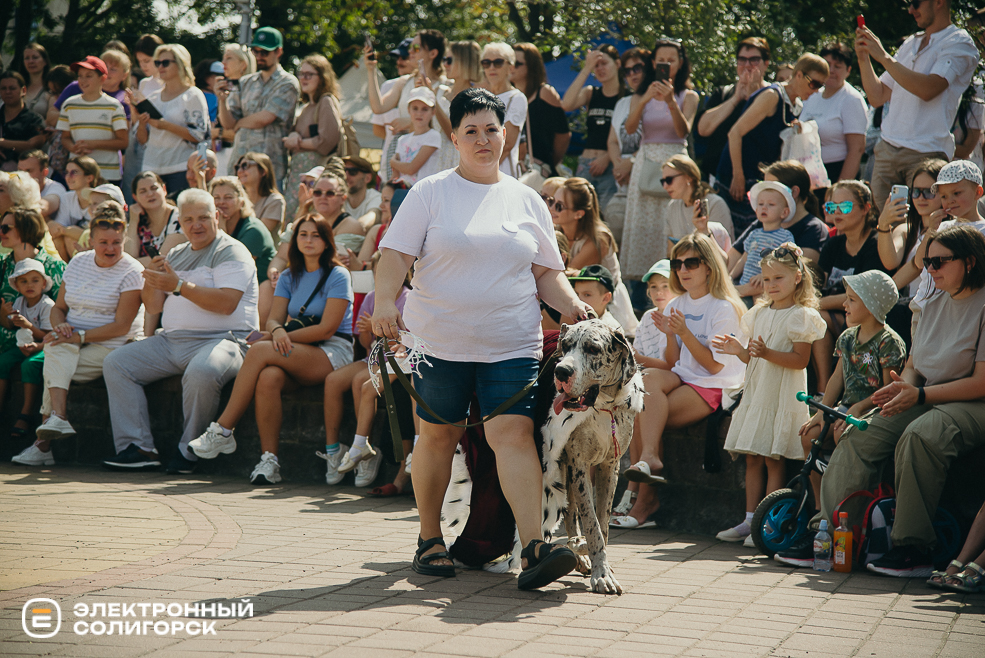 атмосфера день города 2024