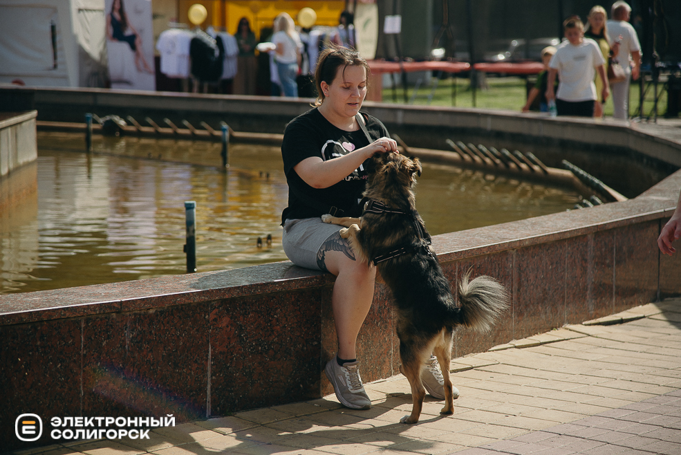 атмосфера день города 2024