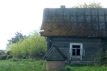 За одну базовую, но через аукцион. Где и какой дом продают с молотка?