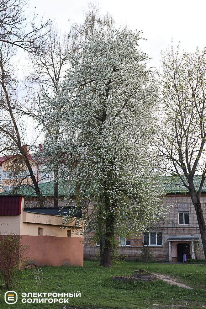 nature 2 12