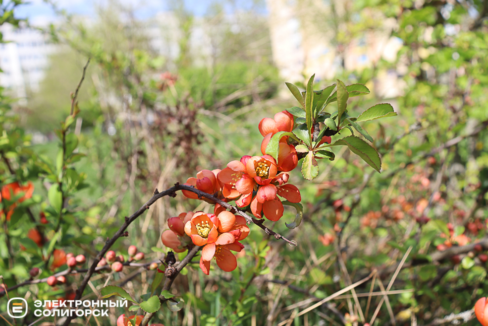 nature 2 22