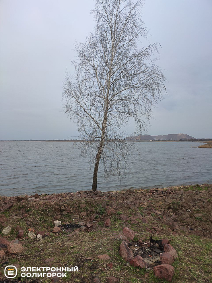 velo 2 12