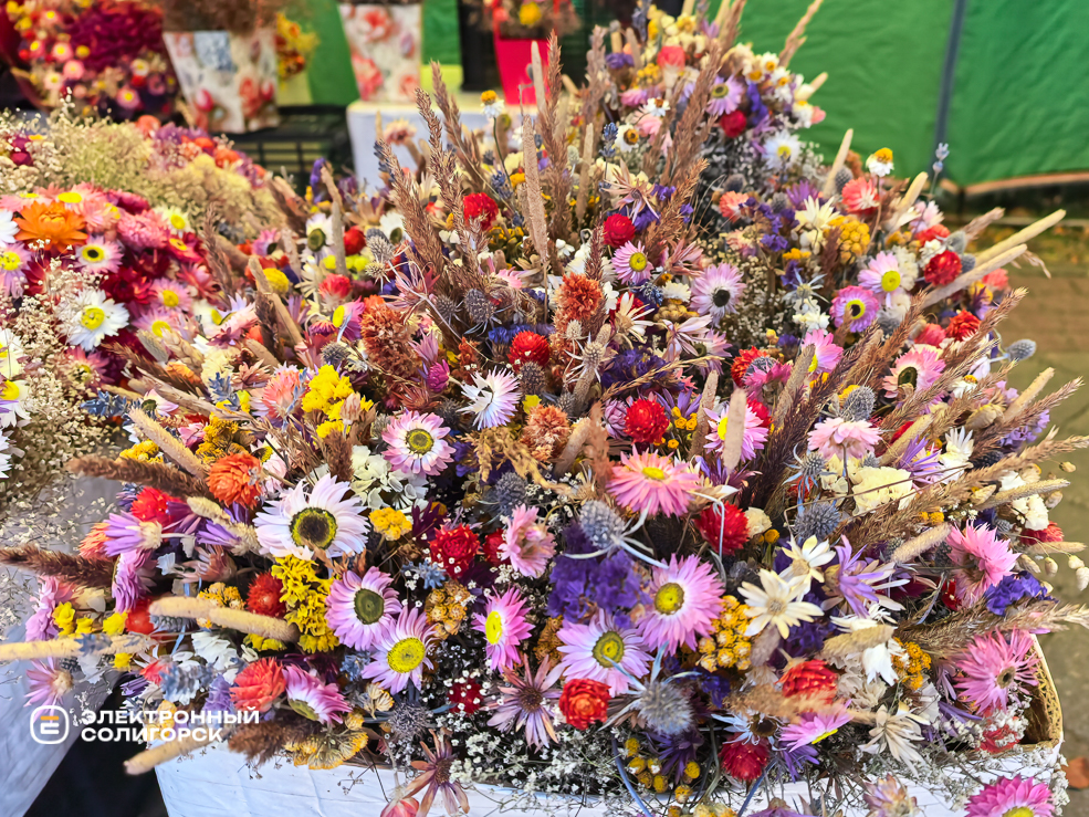 День города в Солигорске