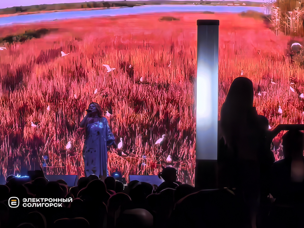 День города в Солигорске