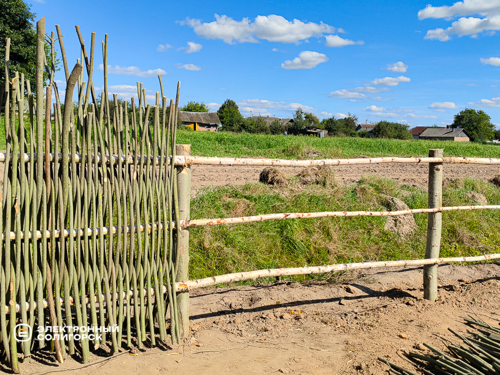 Парк в агрогородке Кривичи Солигорского района