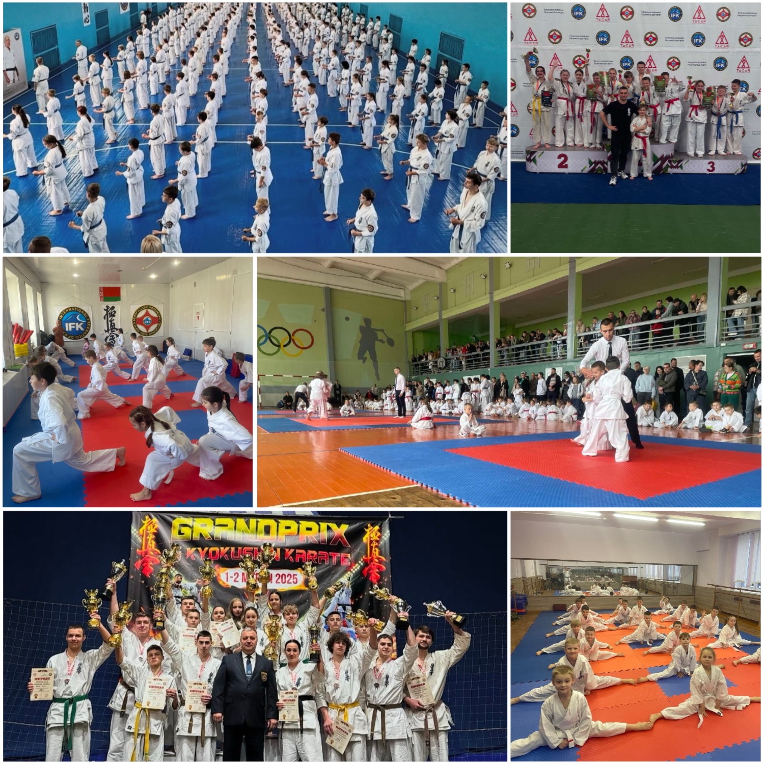 Белорусская Федерация Кекусинкай Будо Каратэ