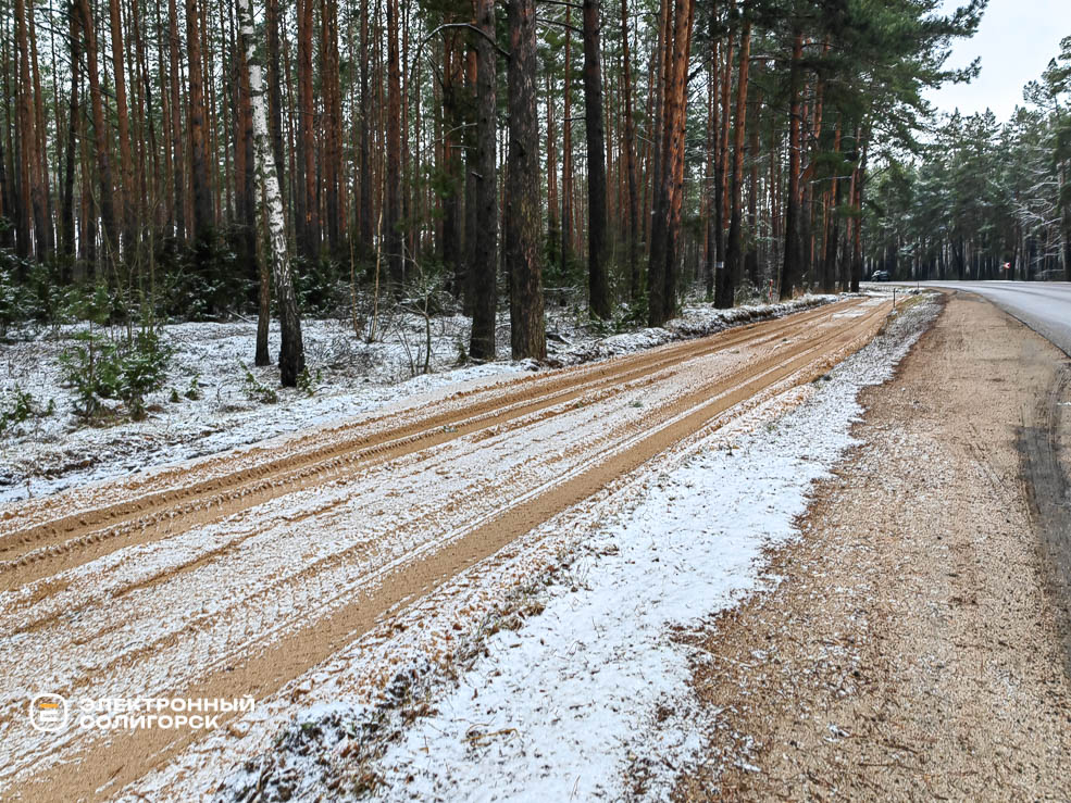 Велодорожка в Солигорском районе