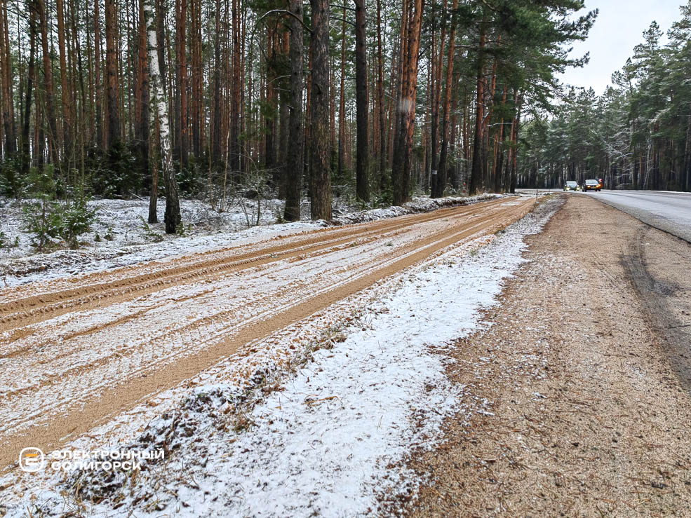 Велодорожка в Солигорском районе