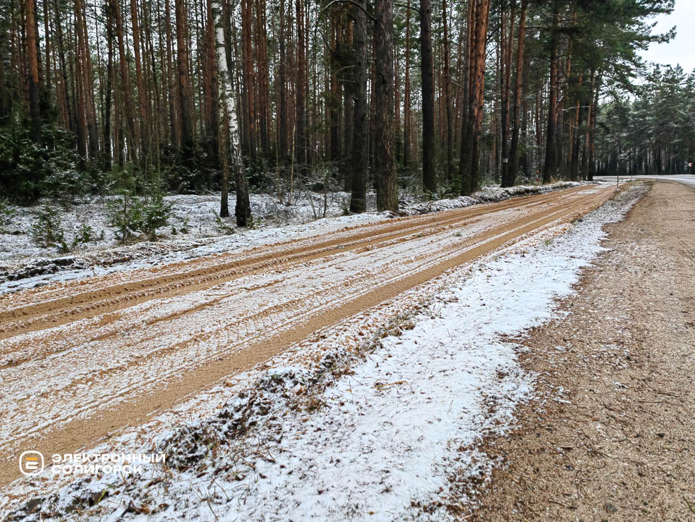 Велодорожка в Солигорском районе