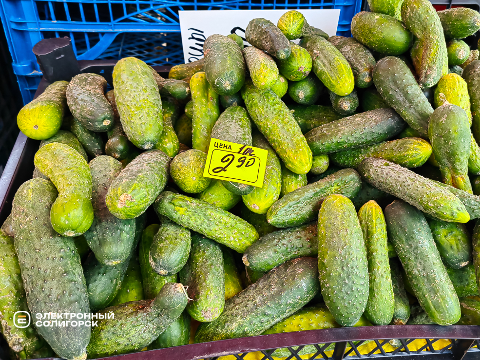 Почём овощи и фрукты на рынке в Солигорске