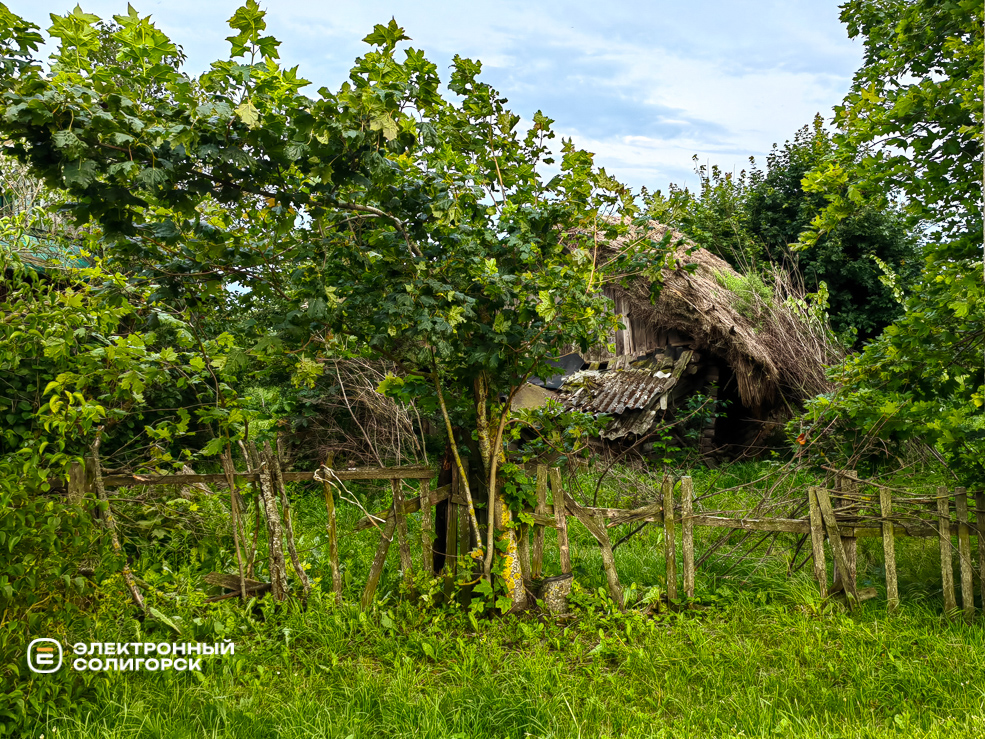 Деревня Великий Быков Слуцкого района