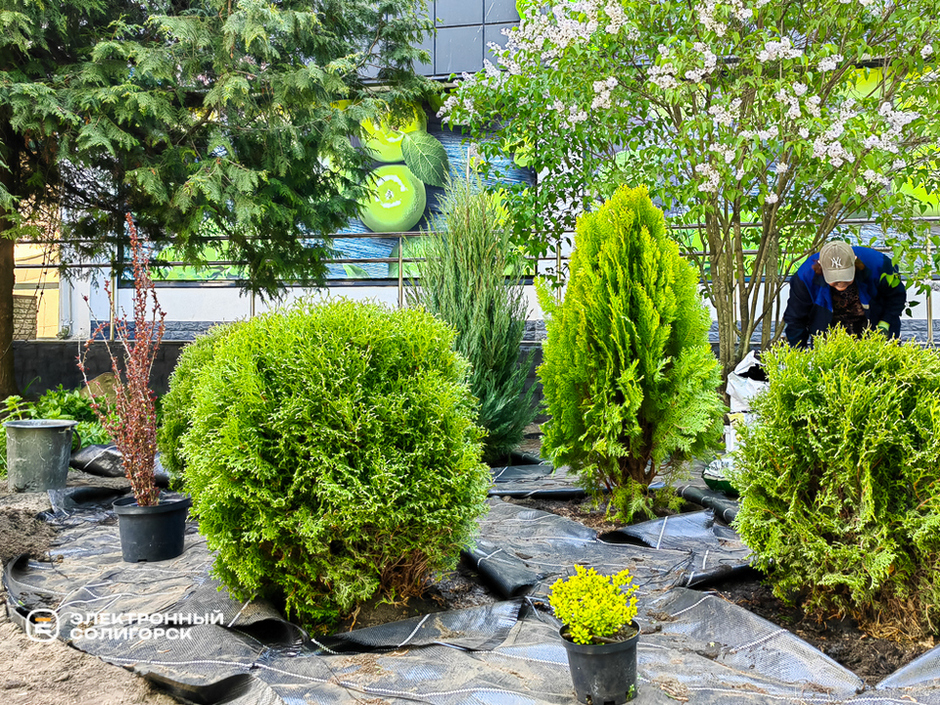 Благоустройство Солигорска