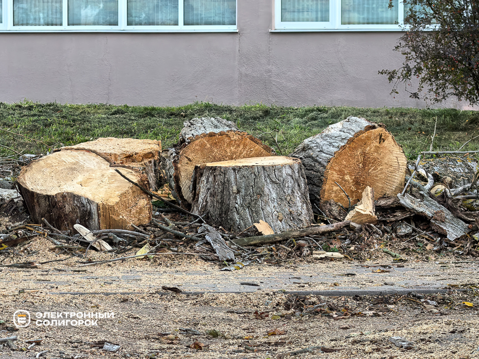 Сквер на улице Ленинского Комсомола в Солигорске