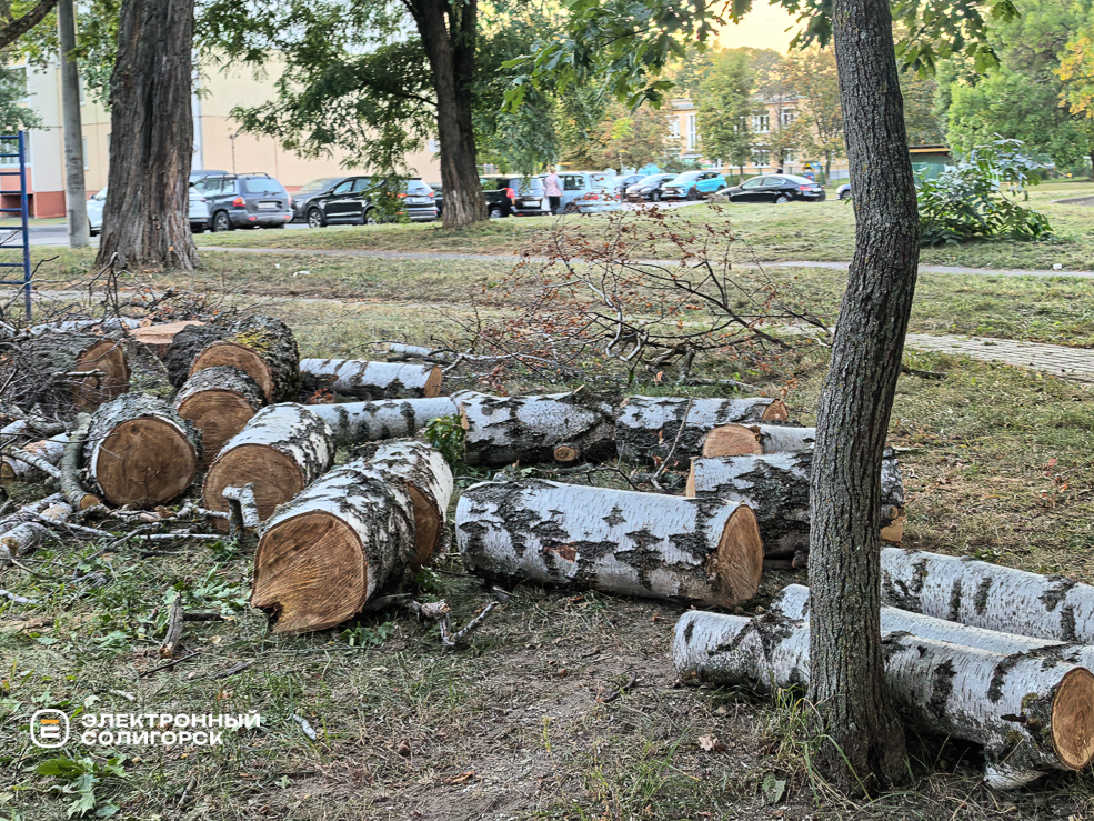 Сквер на улице Ленинского Комсомола в Солигорске