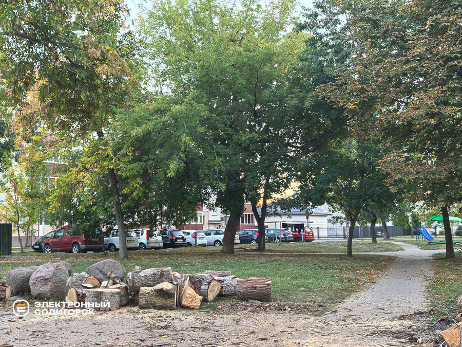 Сквер на улице Ленинского Комсомола в Солигорске