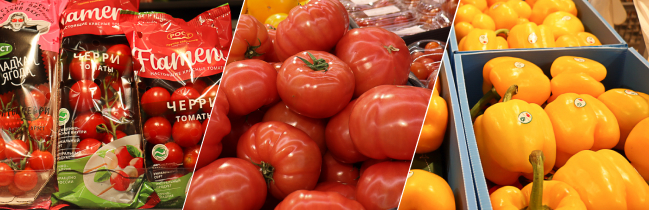 Хочешь салат - готовь кошелёк: почём помидоры и перцы в Солигорске