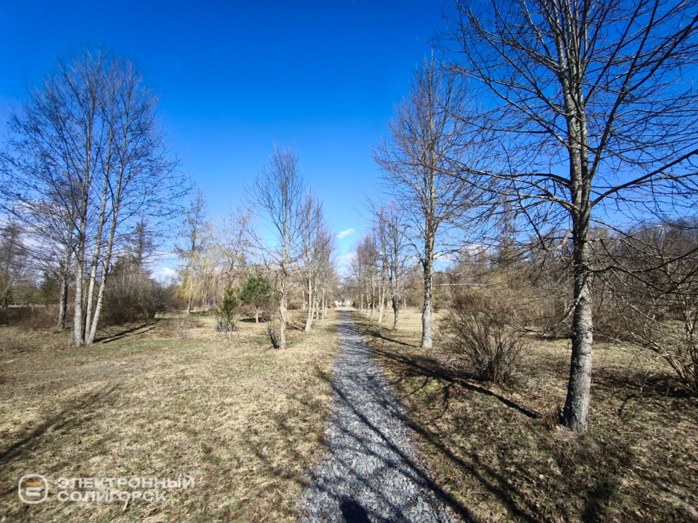 Оленеферма под Слуцком