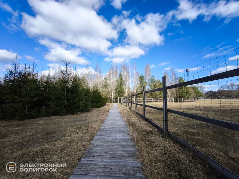 Оленеферма под Слуцком