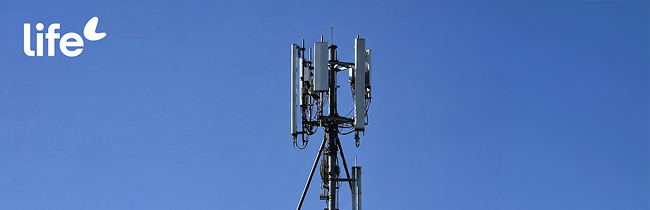 У Life лучшее качество связи в областных городах. Итоги отчёта БелГИЭ за I квартал