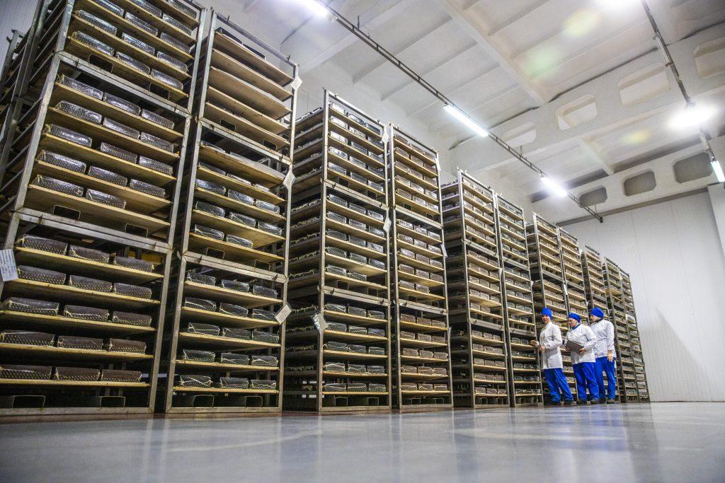 Любанский сыродельный завод