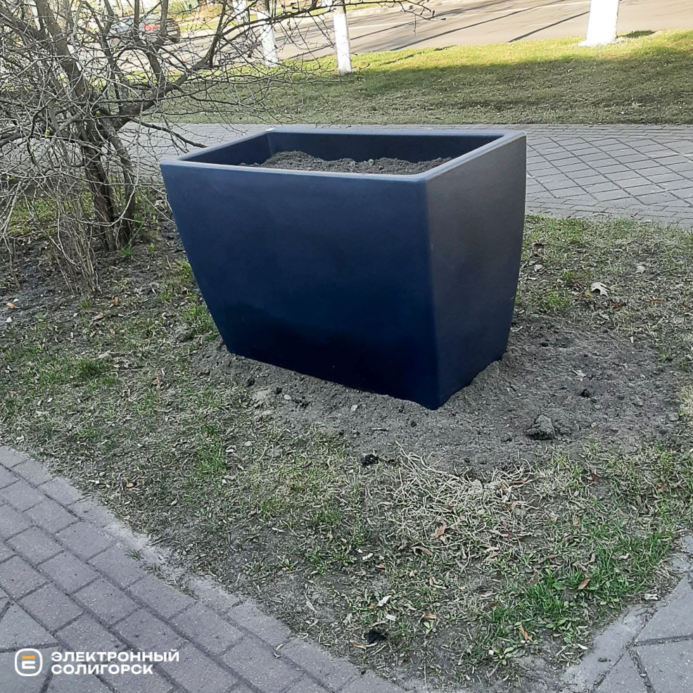 Озеленение в Солигорске, кусты и сосны высадили в Солигорске