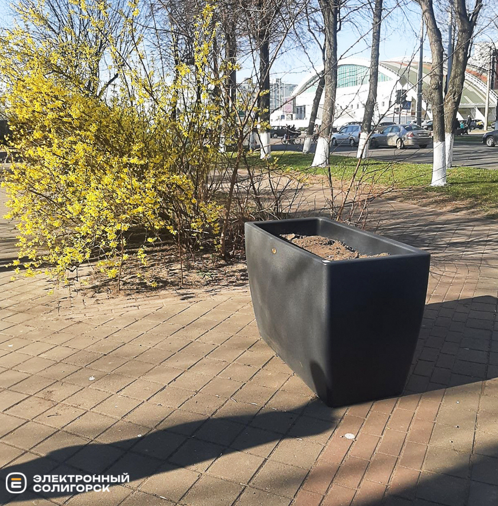 Озеленение в Солигорске, кусты и сосны высадили в Солигорске