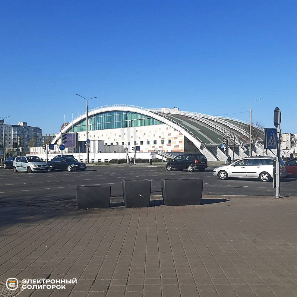 Озеленение в Солигорске, кусты и сосны высадили в Солигорске