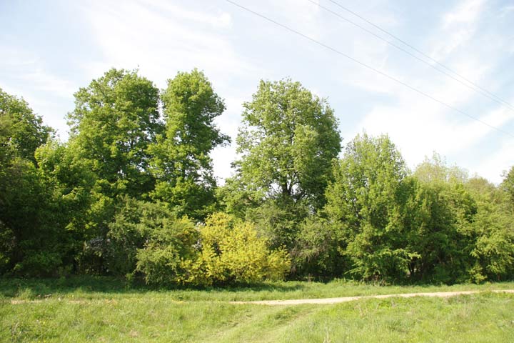 pagost 2 park 3389 1368613773 b1