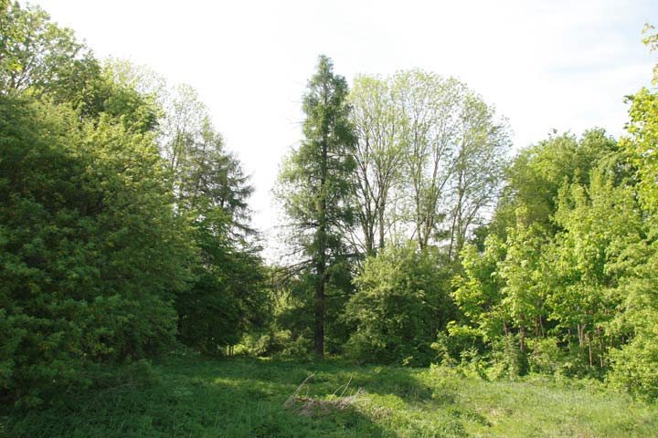 pagost 2 park 3389 1368613773 b2