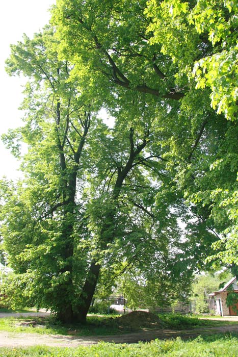 pagost 2 park 3389 1368613773 b4